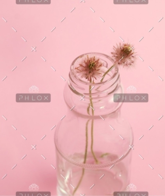 demo-attachment-796-photo-1429679310900-bad303d0e63a-1@2x